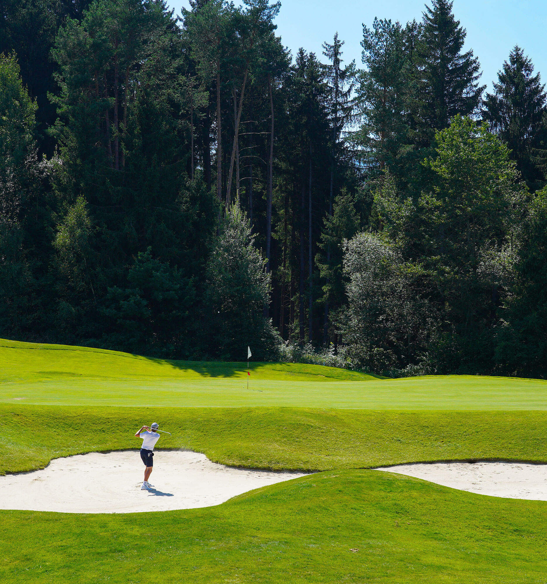 Golfplatz in Reischach - Nobis